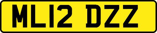 ML12DZZ