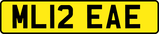 ML12EAE