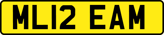 ML12EAM