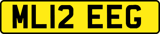 ML12EEG