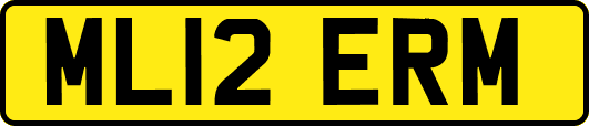 ML12ERM