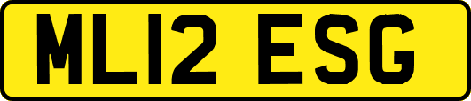 ML12ESG