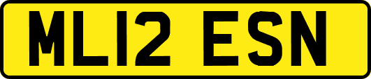 ML12ESN