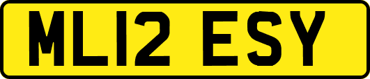 ML12ESY