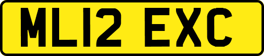 ML12EXC