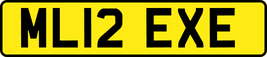 ML12EXE
