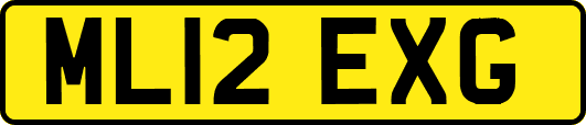 ML12EXG