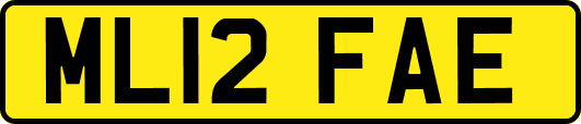 ML12FAE
