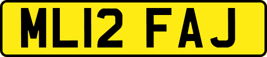 ML12FAJ