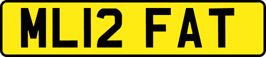 ML12FAT