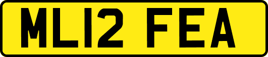 ML12FEA