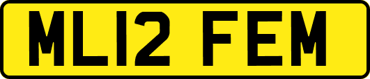 ML12FEM