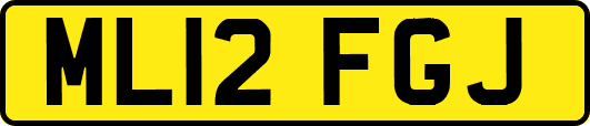 ML12FGJ