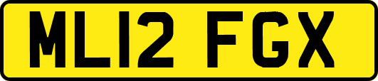 ML12FGX