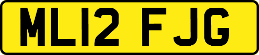 ML12FJG