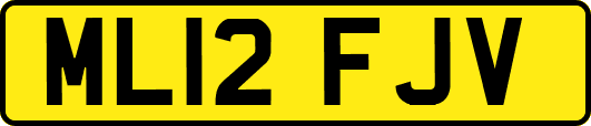 ML12FJV