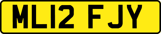 ML12FJY