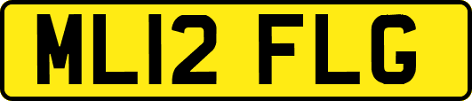 ML12FLG