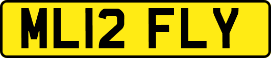 ML12FLY