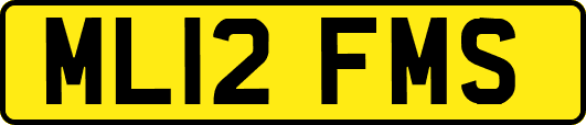 ML12FMS