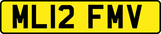 ML12FMV