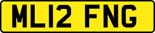 ML12FNG