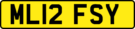 ML12FSY