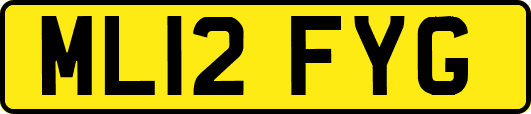 ML12FYG