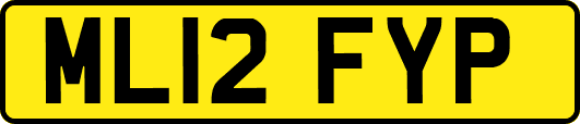 ML12FYP