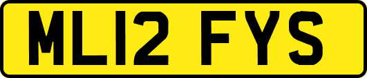 ML12FYS
