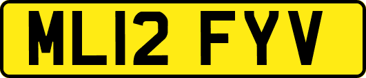 ML12FYV