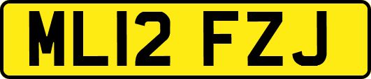 ML12FZJ