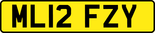 ML12FZY