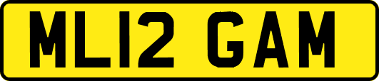 ML12GAM