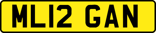ML12GAN