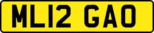 ML12GAO
