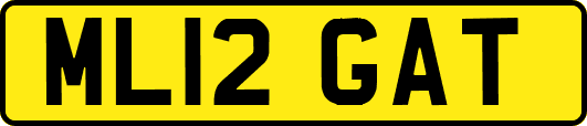 ML12GAT