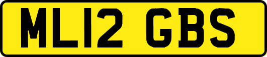 ML12GBS