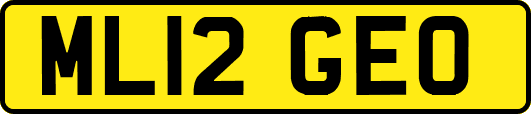 ML12GEO