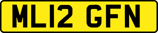 ML12GFN