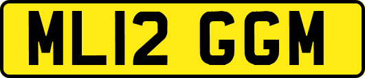 ML12GGM