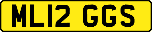 ML12GGS