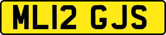 ML12GJS