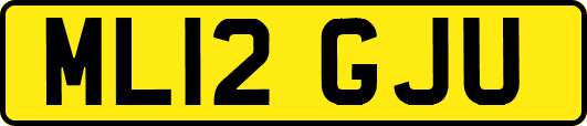 ML12GJU