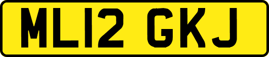 ML12GKJ
