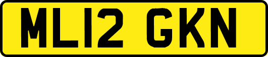 ML12GKN