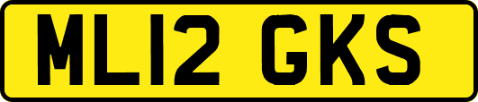 ML12GKS