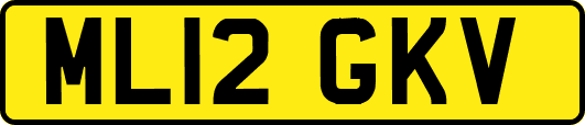 ML12GKV