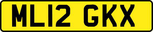 ML12GKX