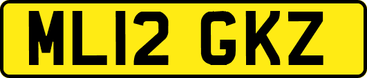 ML12GKZ